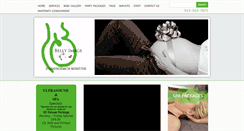Desktop Screenshot of bellyimage.com